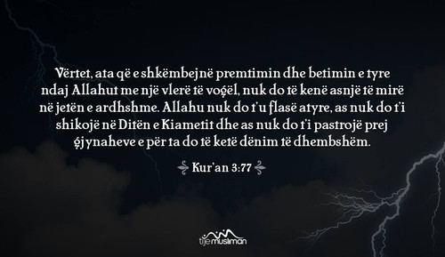 Ajete dhe Hadithe (206).jpg
