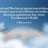 Ajete dhe Hadithe (252)