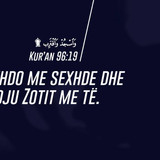 Ajete dhe Hadithe (243)
