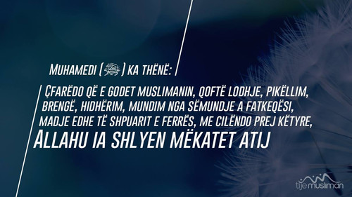 Ajete dhe Hadithe (284).jpg