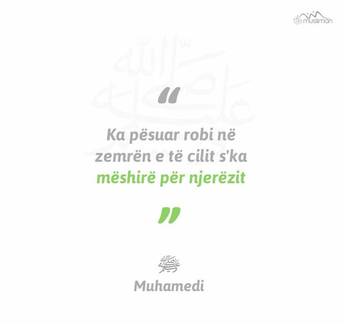 Ajete dhe Hadithe (261).jpg