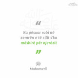 Ajete dhe Hadithe (261)