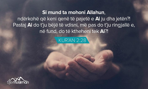 Ajete dhe Hadithe (262).jpg