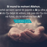 Ajete dhe Hadithe (262)
