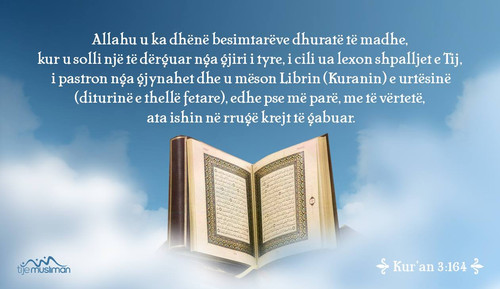 Ajete dhe Hadithe (245).jpg
