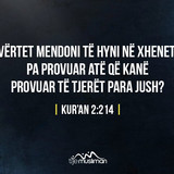 Ajete dhe Hadithe (273)