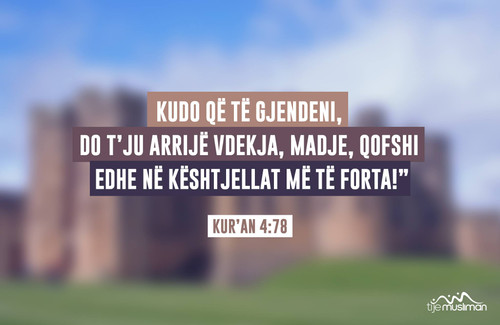 Ajete dhe Hadithe (277).jpg