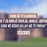 Ajete dhe Hadithe (277)
