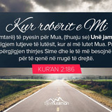 Ajete dhe Hadithe (274)