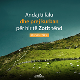 Ajete dhe Hadithe (250)