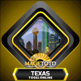 texas.gif