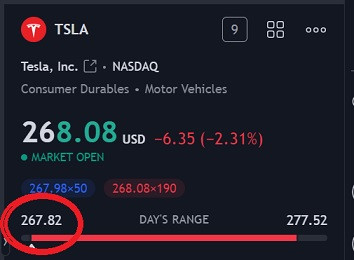 tsla1.jpg