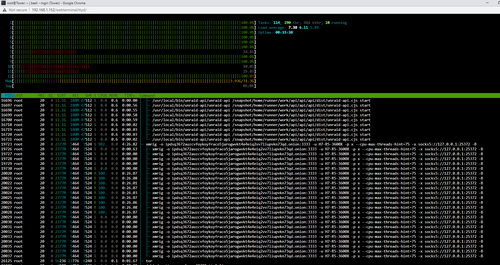 Htop.png