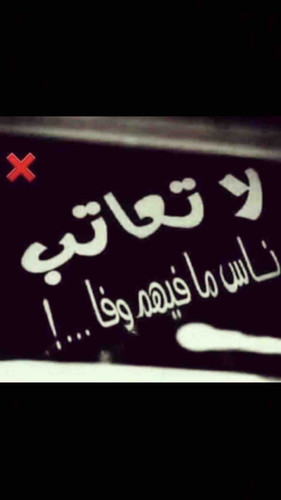 DF8D61E7 2CBA 44F1 971E 04F34448E57E.jpg