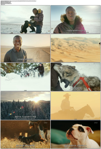 [神奇的犬科家族 第一季].Dogs.An.Amazing.Animal.Family.2016.S01E01.WEB DL.1080p.HEVC.AAC CMCTV.jpg