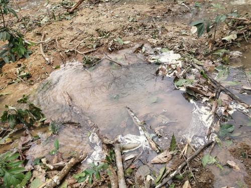STG ULU.jpg