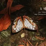 20150801 200