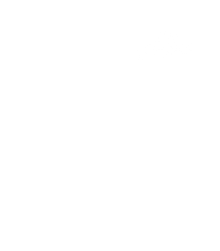 VALKYRAE77375 1 (1).png