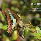 20160529 205