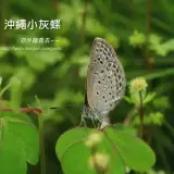 20160529 371