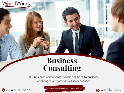 Business Consulting Services.png
