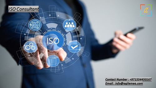 ISO Consultant.jpg
