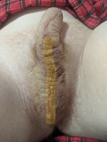 PXL 20230706 165020465~2