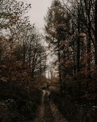 image.jpg