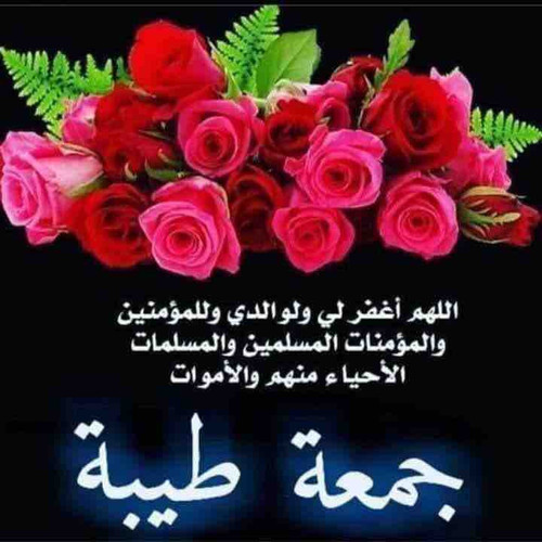 D3BE878D 7257 49FB 8AED 0EF5AD363830.jpg