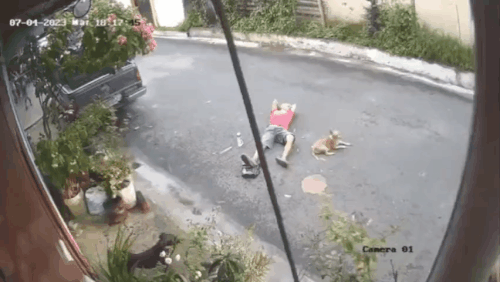 GIF 230707 171410.gif