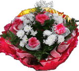 oie overlay (11).gif