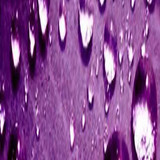 background4.jpg
