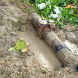 WhatsApp Image 2023 07 12 at 9.59.20 AM.jpg