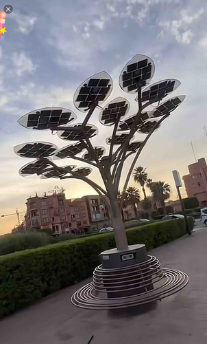 C45E5279 0001 4F25 B7DA 1B5C1339A16B.jpg