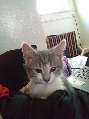 IMG 20230709 140605.jpg