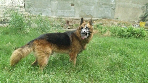 ba4ed52b cd0c 4056 a5a2 b93a89e4edb8.jpg