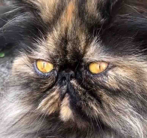 C362EA62 0F82 4D5B 8D25 8261220DD4AF.jpg