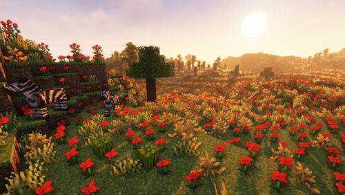 2023 06 29 01.53.34.png