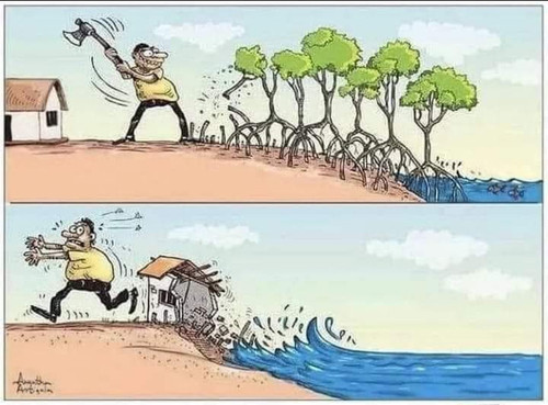 IMG 20230711 190426.jpg