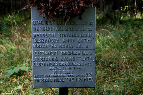 316543325 3393211470997508 929934334673493228 n.jpg