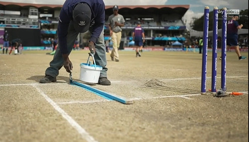 Line painting before Eng batting.jpg