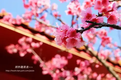 20170219 067.webp