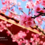 20170219 067