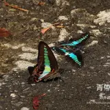 20170219 236