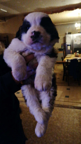 IMG 20230214 WA0002.jpg