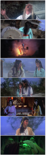 武林圣火令.Holy.Flame.of.the.Martial.World.1983.FRA.BDRip.1080p.x265.10bit.AC3.2Audio DGB.jpg