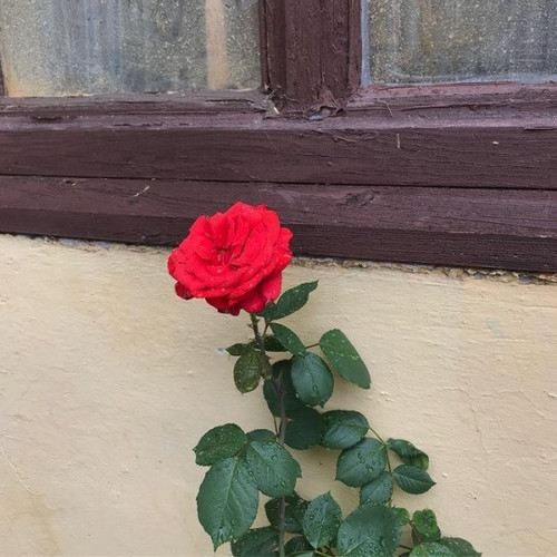 Tumblr l 288443184638403.jpg