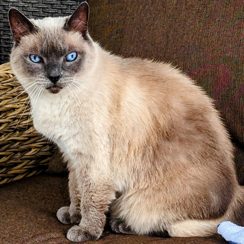 PXL 20230708 194308338~2