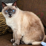 PXL 20230708 194308338~2