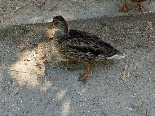 AGC 20230709 141807256